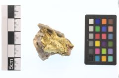 Foto von Gold (NHMW-MIN-Aa1376)